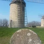 Domaine Mongiron 4*