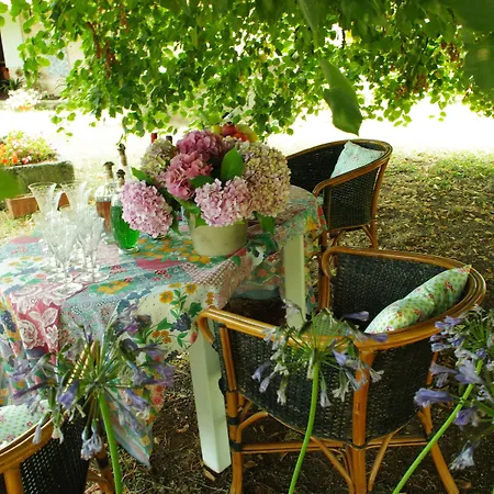 Domaine Mongiron 4*