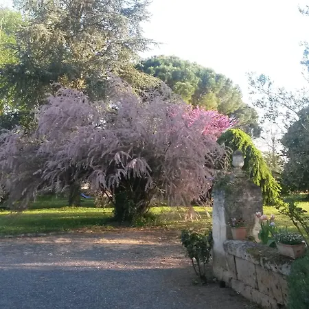 Domaine Mongiron Vendégház Nérigean