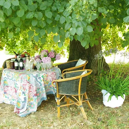 Domaine Mongiron