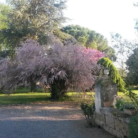 Gasthuis Domaine Mongiron