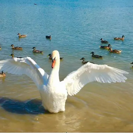 Domaine Mongiron Pensionat Nérigean