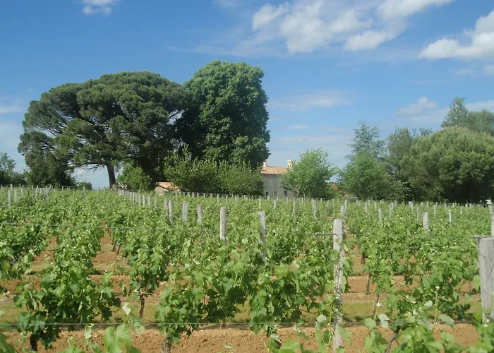 Gæstehus Domaine Mongiron Nérigean