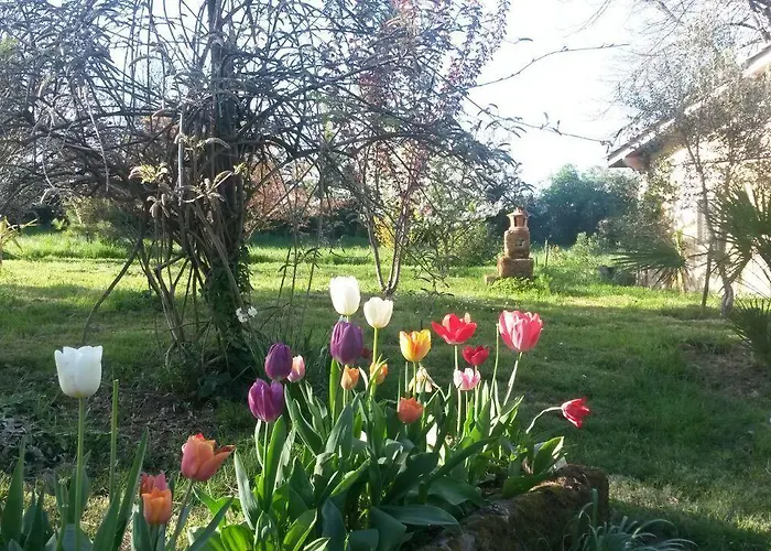 Domaine Mongiron Πανσιόν Nérigean