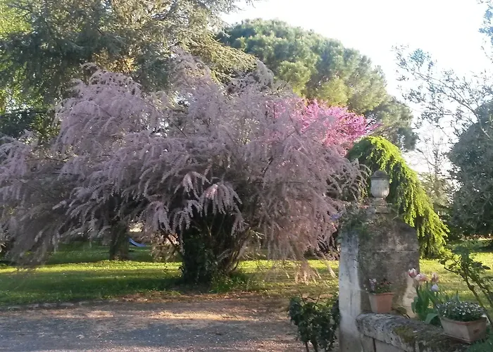 Domaine Mongiron Πανσιόν Nérigean