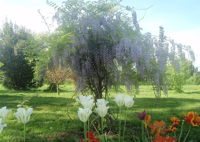 Domaine Mongiron Nérigean