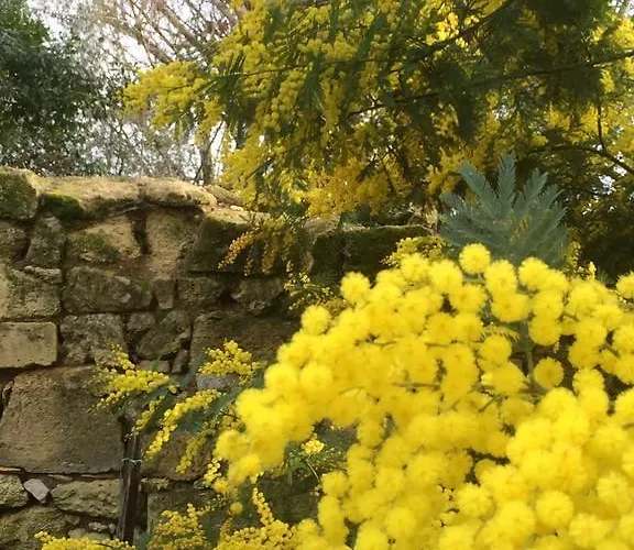 Domaine Mongiron Nérigean