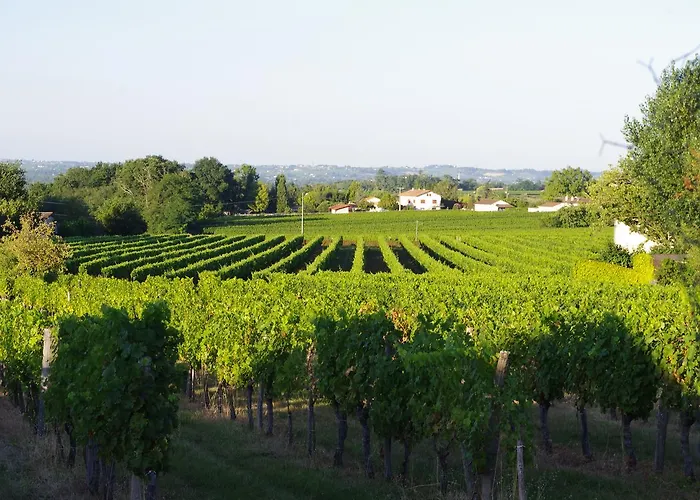 Domaine Mongiron Gæstehus